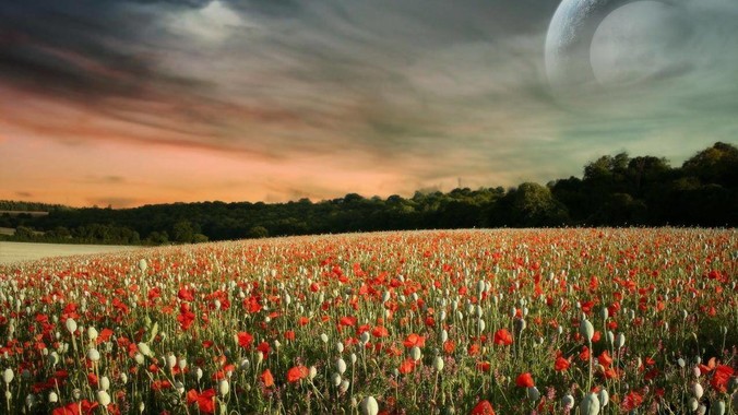 为什么直到2024年国外媒体都把俄罗斯军事排第二?